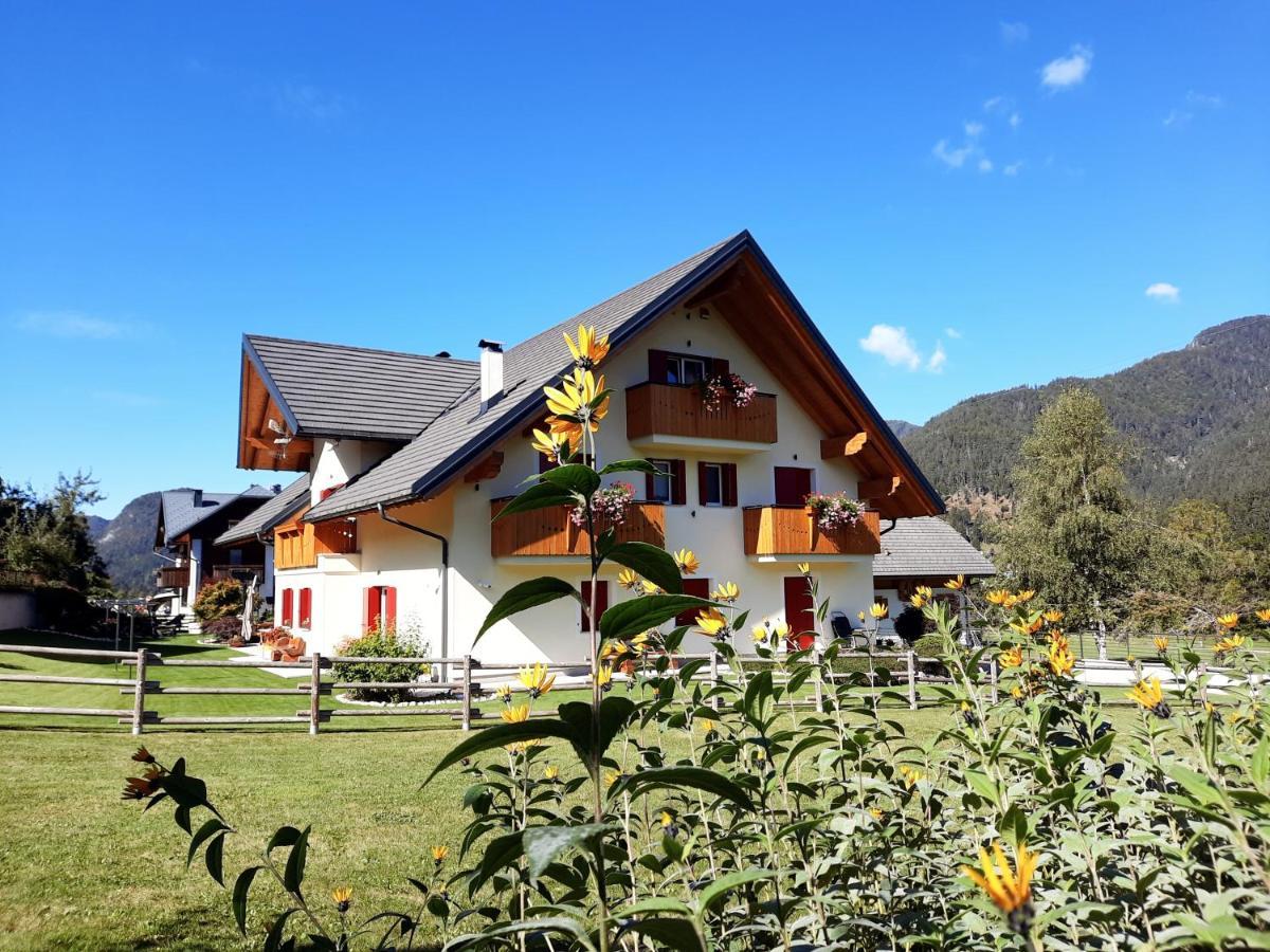 B&B Al Buondi Camporosso  Buitenkant foto